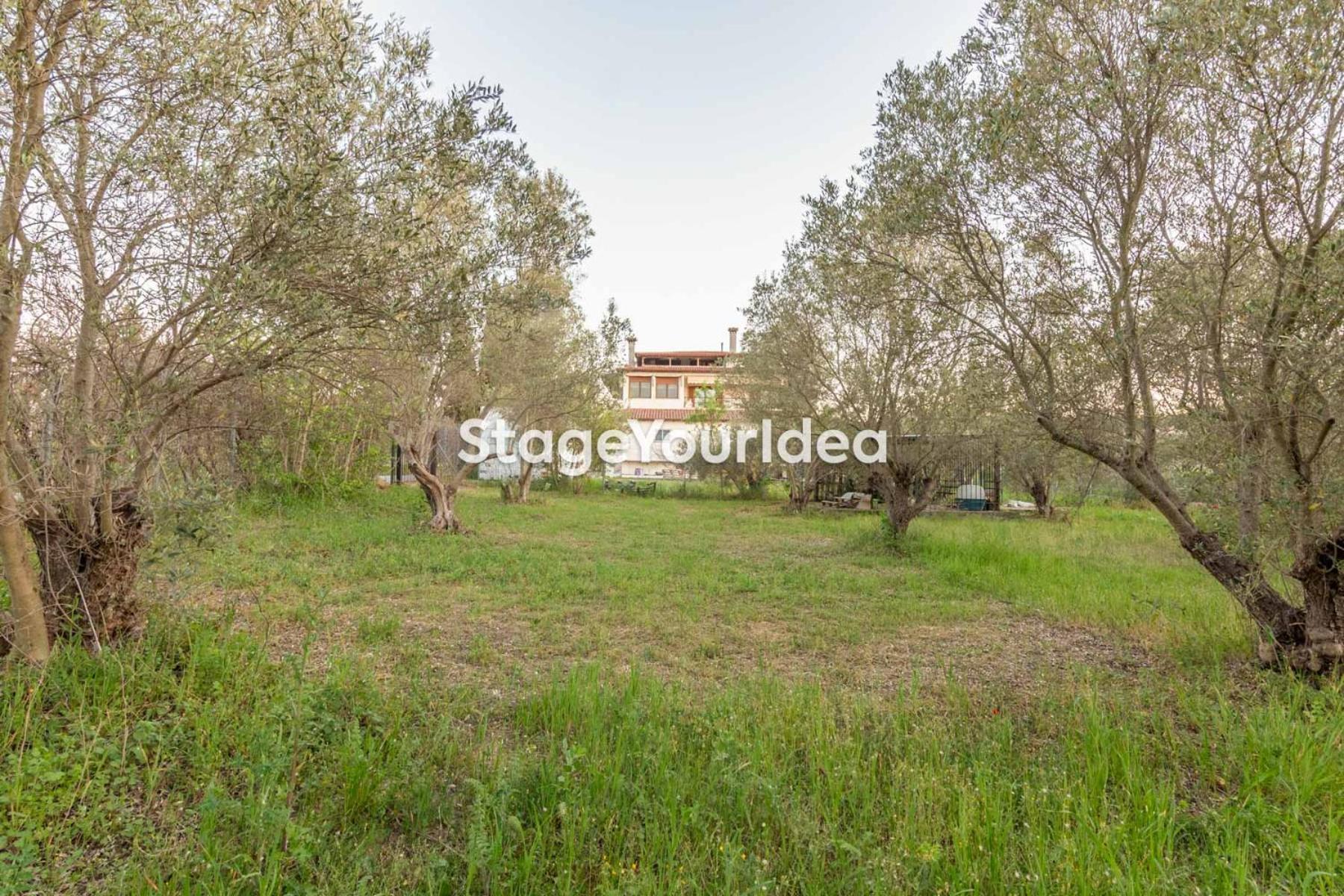 Luxury Appartment, Only 7 Minutes From Thessaloniki Airport And 15 Minutes From City Center ,For 8-23 People Also For Gatherings And Parties Neon Rysion 外观 照片